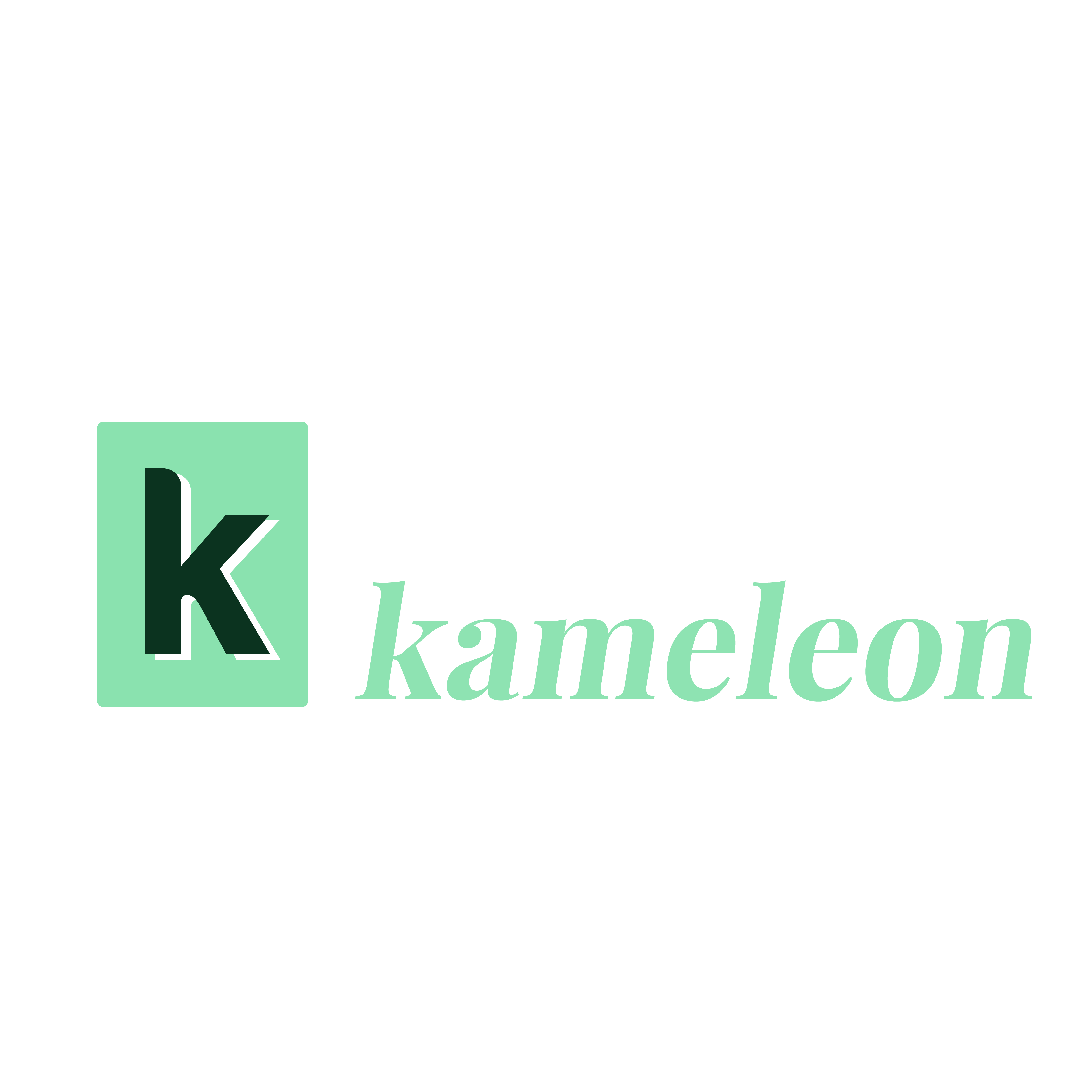 Kantoor Kameleon